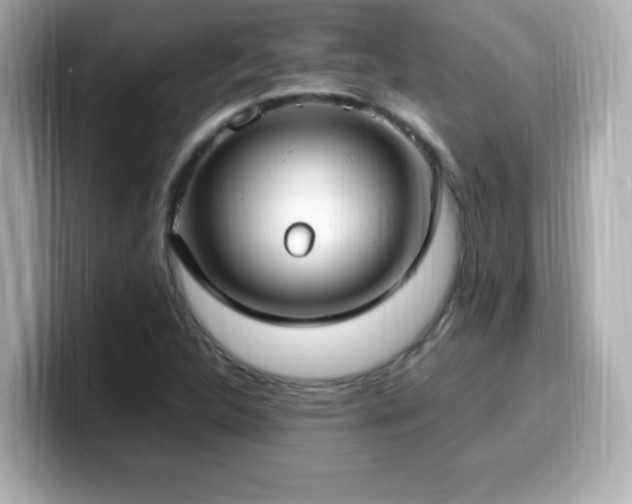 X0000099931312200805231222
