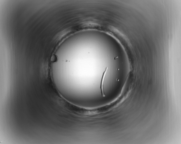 X0000099931313200805231222