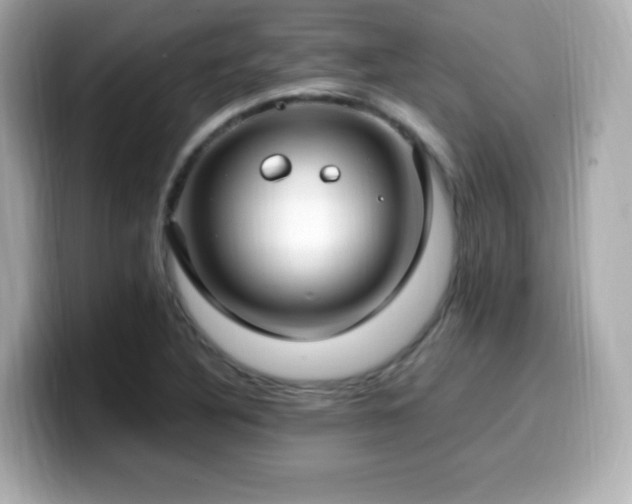 X0000099931316200805231222