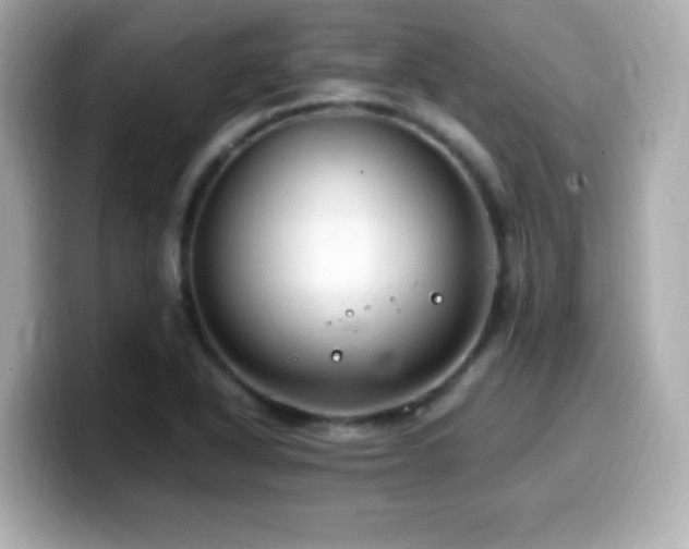 X0000099931318200805231222