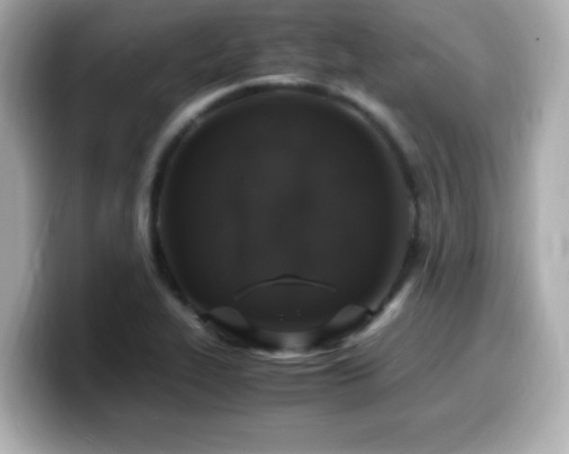 X0000099931319200805231222