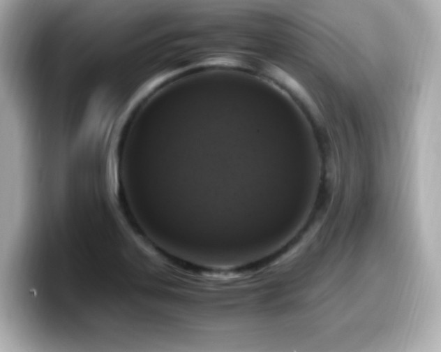X0000099931323200805231222