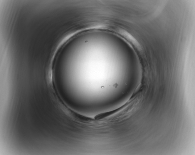 X0000099931324200805231222