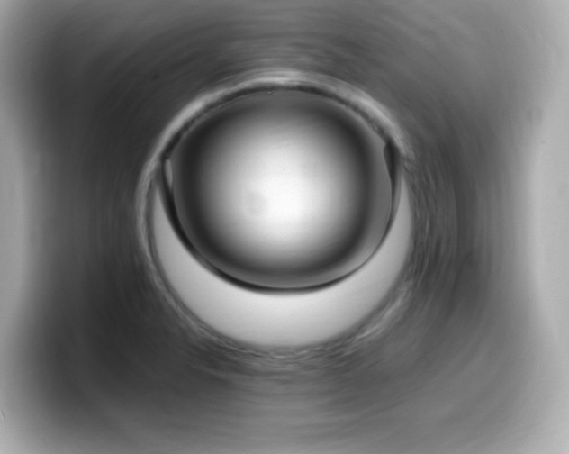 X0000099931326200805231222