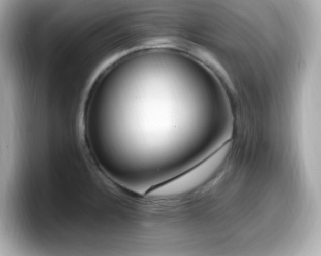 X0000099931328200805231222