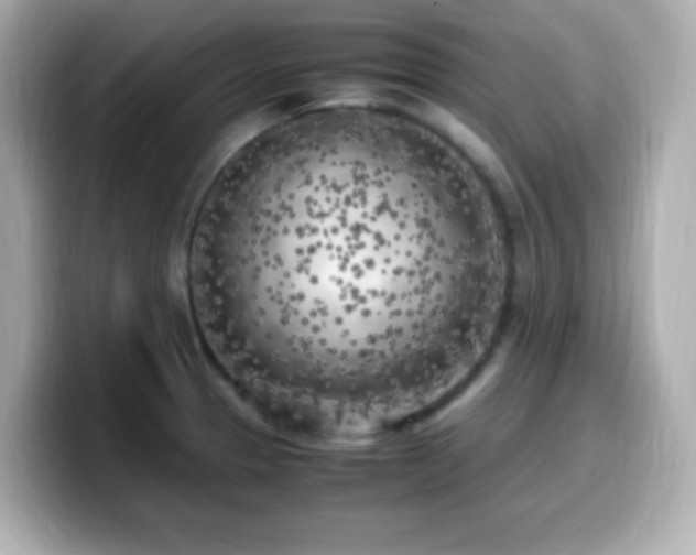 X0000099931329200805231222