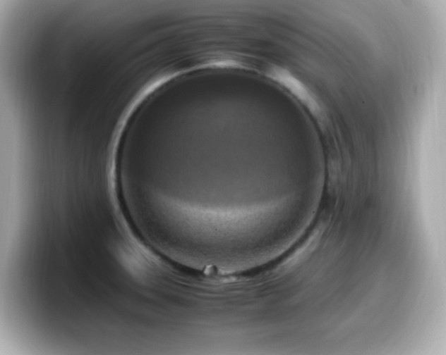 X0000099931331200805231222