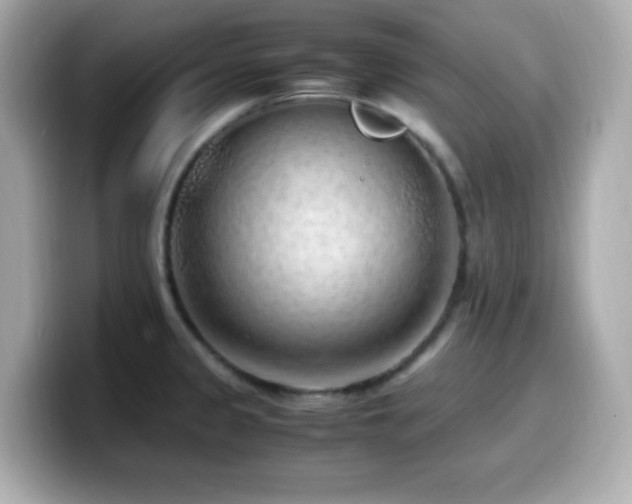 X0000099931333200805231222