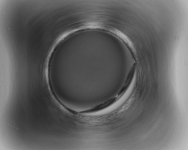 X0000099931334200805231222