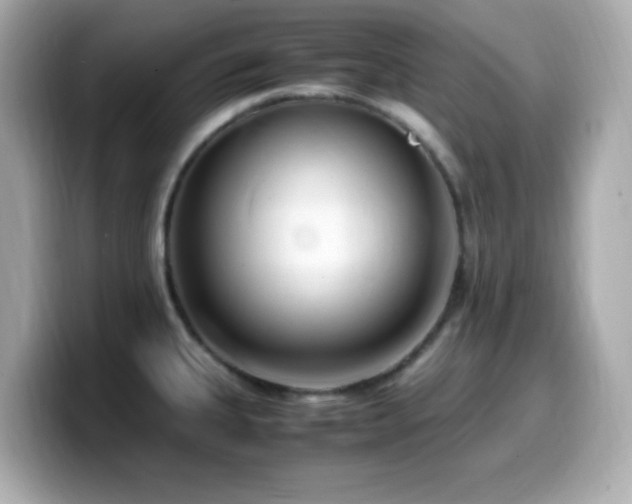 X0000099931335200805231222