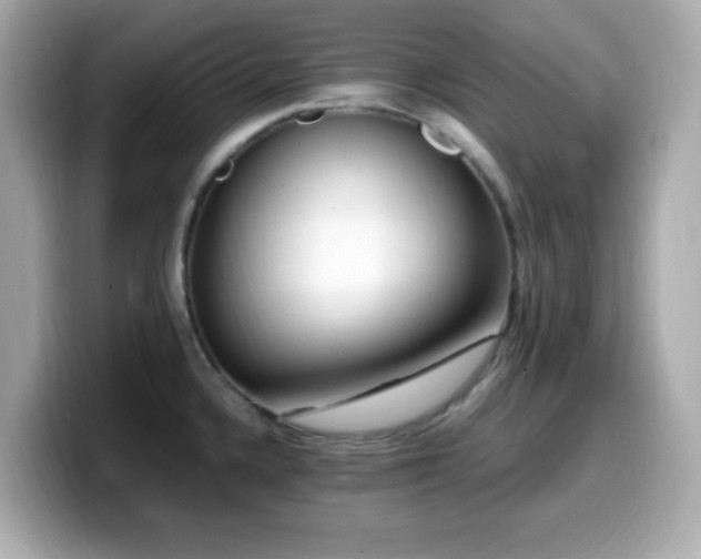 X0000099931336200805231222