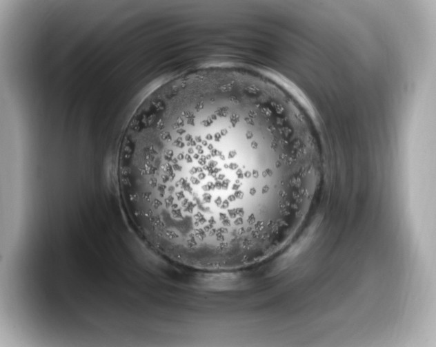 X0000099931337200805231222