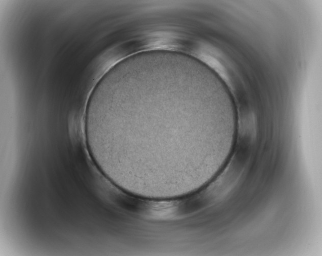 X0000099931338200805231222