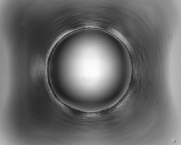 X0000099931339200805231222