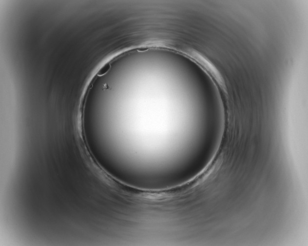X0000099931340200805231222