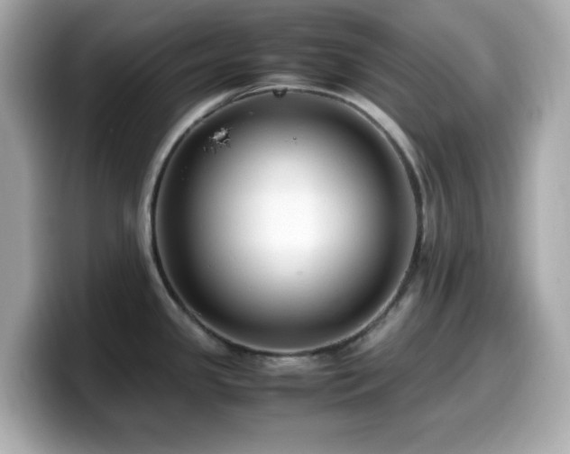 X0000099931341200805231222
