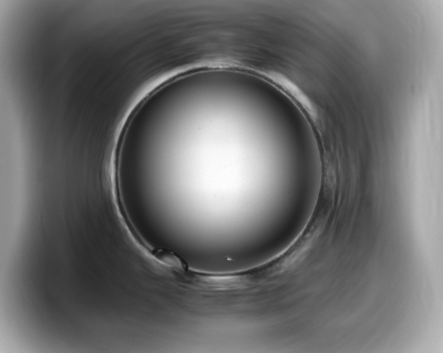 X0000099931343200805231222