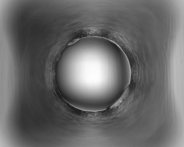 X0000099931345200805231221