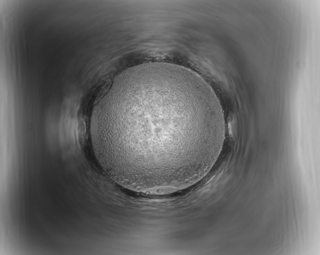 X0000099931347200805231221