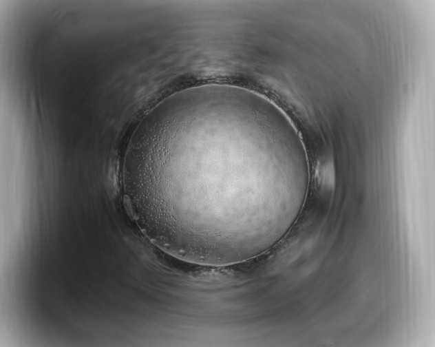 X0000099931348200805231221