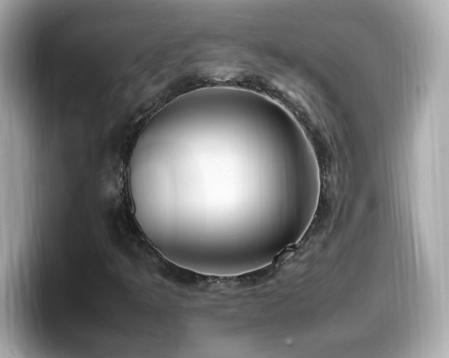 X0000099931349200805231221