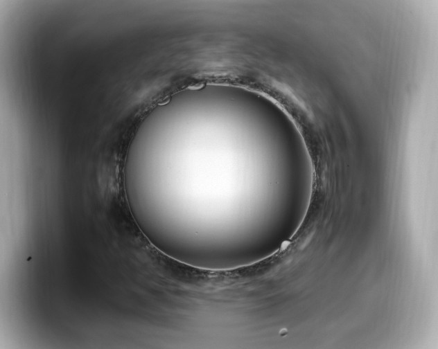 X0000099931350200805231221