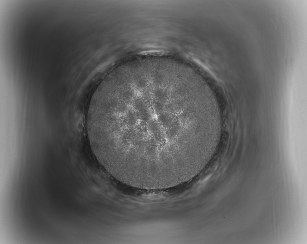 X0000099931351200805231221