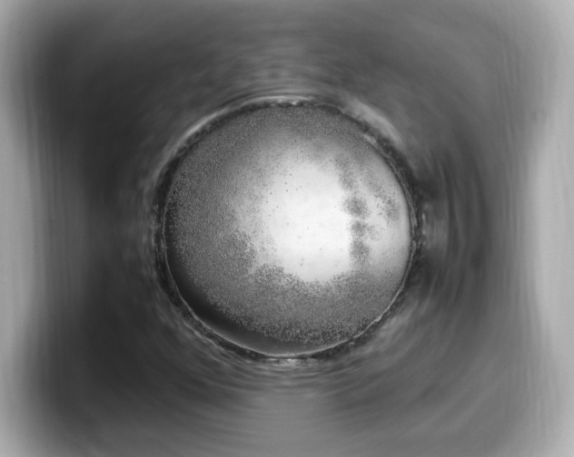 X0000099931352200805231221