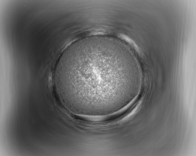 X0000099931353200805231221