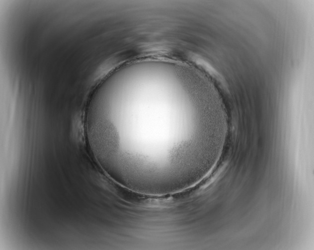 X0000099931354200805231221