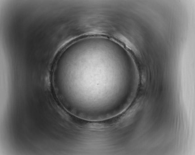 X0000099931356200805231221