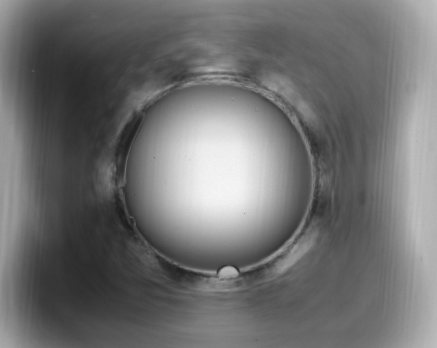 X0000099931357200805231221