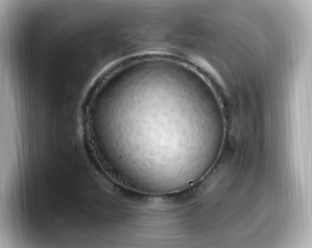X0000099931360200805231221