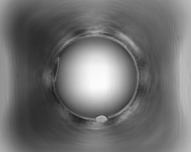X0000099931361200805231221