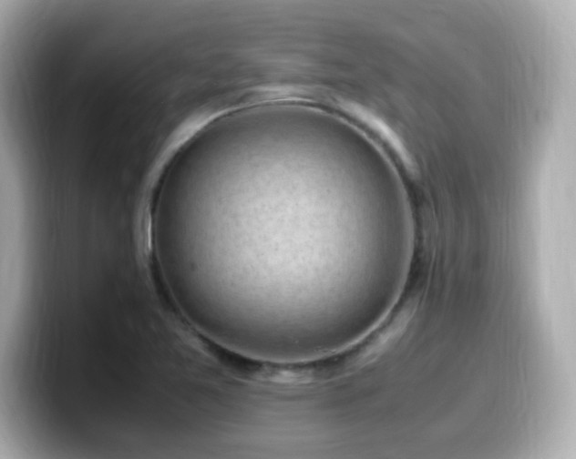 X0000099931365200805231221