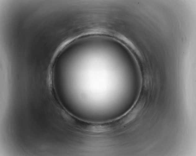 X0000099931366200805231221