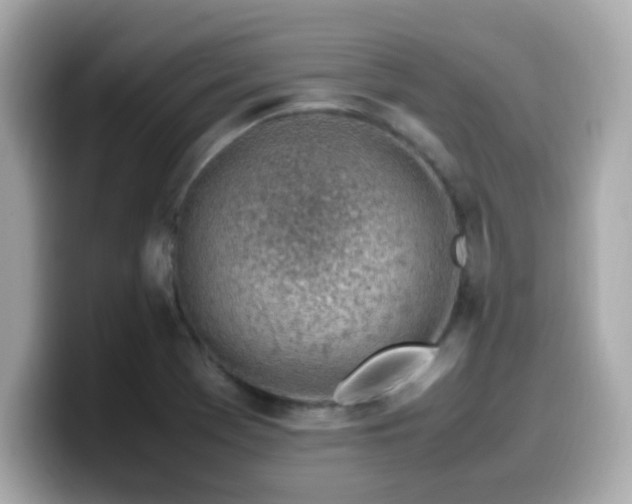 X0000099931369200805231221