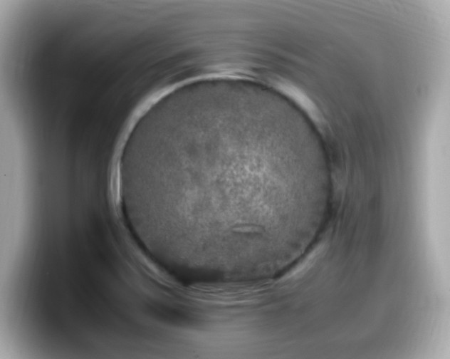 X0000099931371200805231221