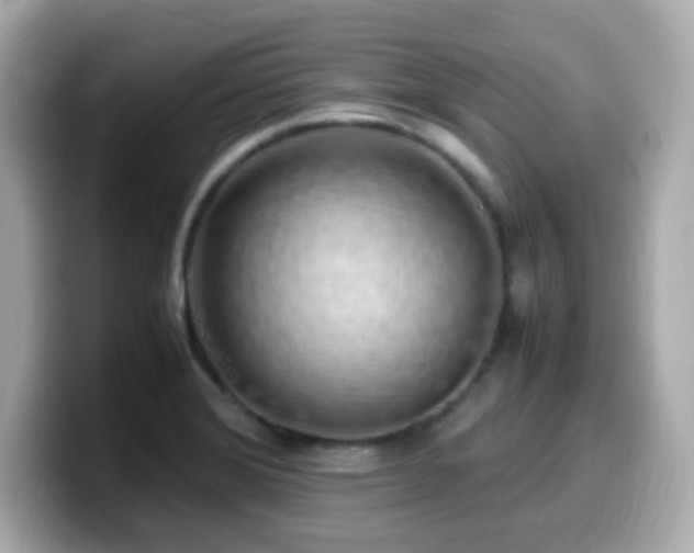 X0000099931372200805231221