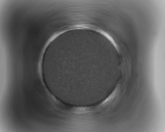 X0000099931373200805231221