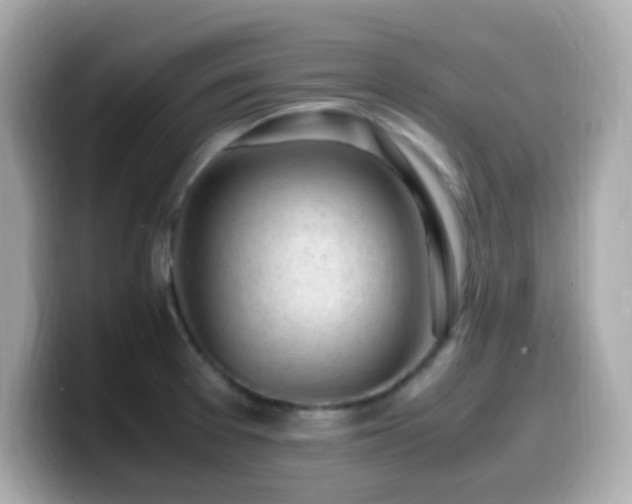 X0000099931377200805231221