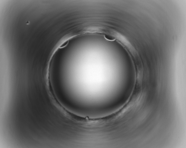 X0000099931378200805231221