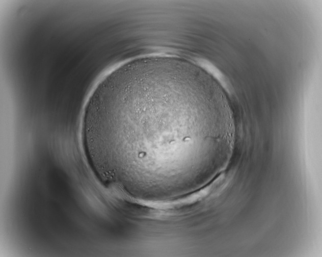 X0000099931379200805231221