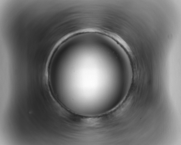 X0000099931380200805231221