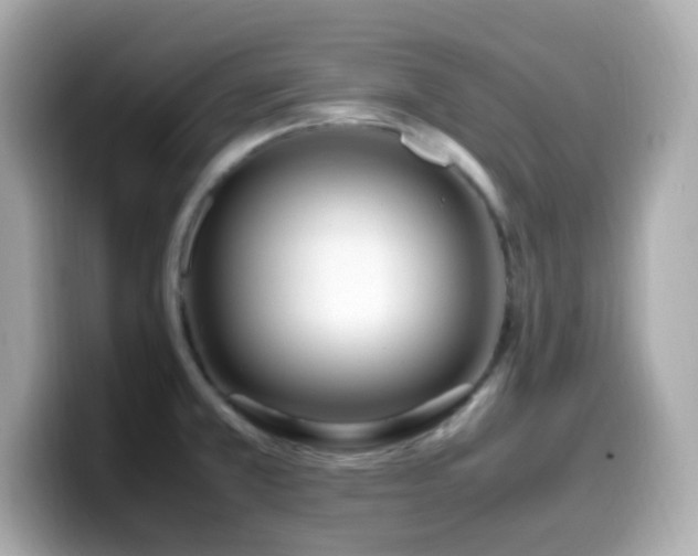 X0000099931381200805231221