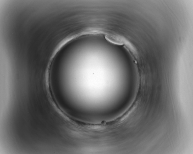 X0000099931382200805231221