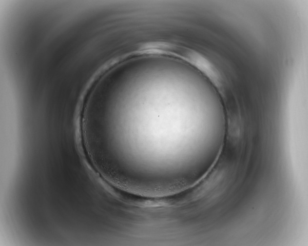 X0000099931384200805231221