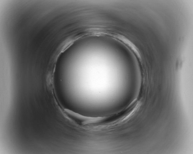 X0000099931385200805231221