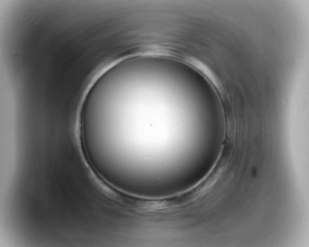 X0000099931387200805231221