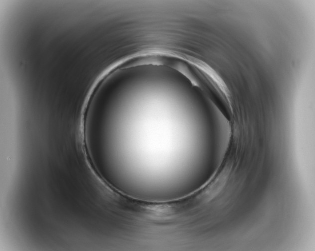 X0000099931388200805231221